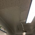 横須賀市の某病院にて防カビ対策に伴う天井の塗装工事中